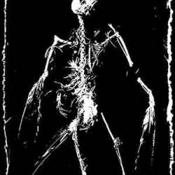 From the Womb to the Tomb